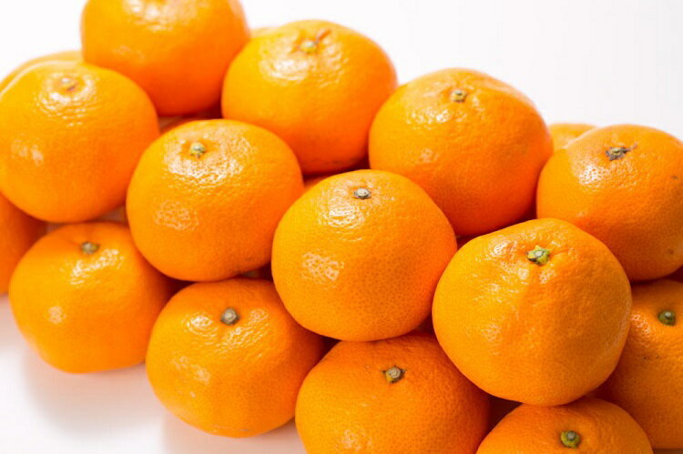 【ふるさと納税】田村みかん 秀品 【選べる容量】3kg 4kg サイズおまかせ /紀州和歌山有田郡湯浅町田村地区産 ◆2025年11月下旬〜2026年1月中旬頃に発送(お届け日指定不可)　紀伊国屋文左衛門本舗 / みかん ミカン 果物 柑橘 フルーツ おすすめ 有田 有田みかん サムネイル3