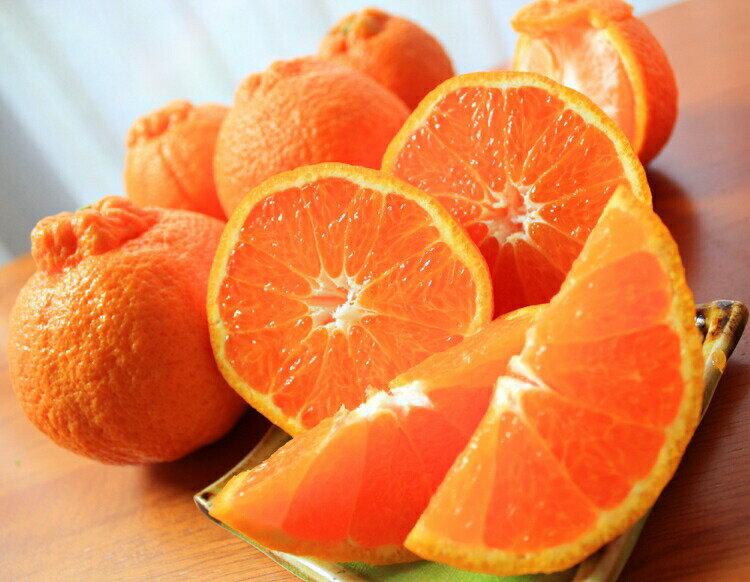 【ふるさと納税】高級ブランド田村の完熟紀州デコ(不知火)　※2026年2月下旬頃〜2026年3月中旬頃に順次発送予定(お届け日指定不可) / みかん くだもの フルーツ 柑橘 ミカン オレンジ 有田みかん 田村みかん 和歌山 有田 デコポン 不知火 サムネイル2