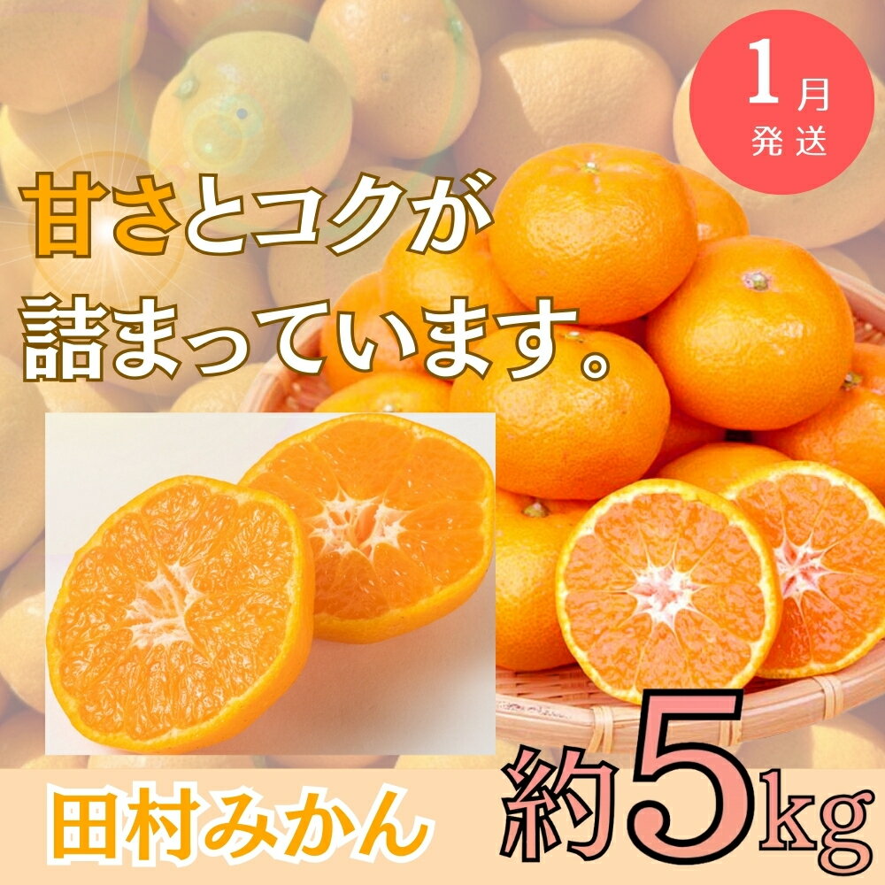 【ふるさと納税】【全3回】旬のフルーツ定期便 【田村みかん 紀州デコ(不知火) 桃】 和歌山の旬をお届け / みかん ミカン 温州みかん 有田みかん 不知火 デコポン 桃 もも モモ 柑橘 フルーツ 果物 くだもの 旬 人気 甘い 定期便 サムネイル2