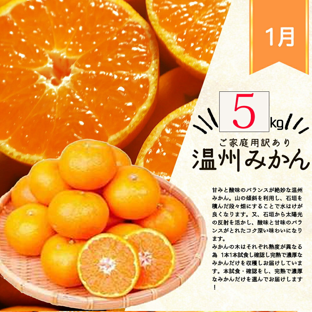 【ふるさと納税】【全4回】紀州和歌山産旬のご家庭用柑橘セット (みかん・不知火・せとか・清見) / 定期便 フルーツ フルーツ定期便 おすすめ 和歌山 果物 くだもの みかん 有田みかん ミカン 不知火 柑橘 オレンジ 果汁 セット 定期便 サムネイル2