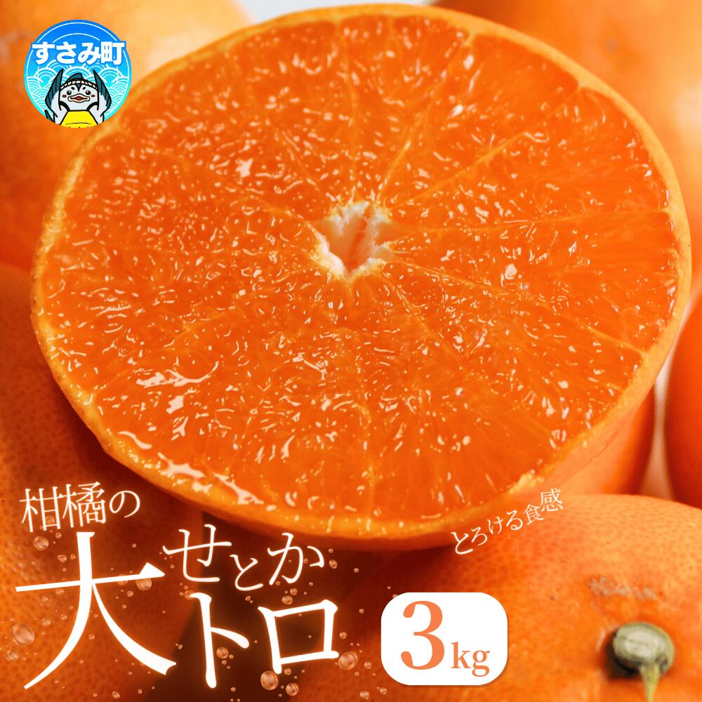 とろける食感！ジューシー柑橘 せとか 約3kg ※2026年2月下旬頃〜2026年3月下旬頃発送(お届け日指定不可) / みかん 果物 フルーツ くだもの 柑橘 和歌山 ミカン 有田みかん