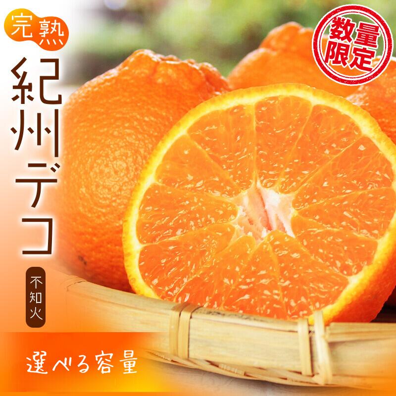 果肉プリプリ♪ 完熟紀州デコ(不知火) 【選べる容量】 約3kg 約5kg ＜2026年2月下旬頃〜2026年3月中旬頃発送予定＞（お届け日指定不可）/ デコポン 不知火 みかん ミカン 柑橘 果物 フルーツ 果実 和歌山 人気 くだもの おすすめ 期間限定
