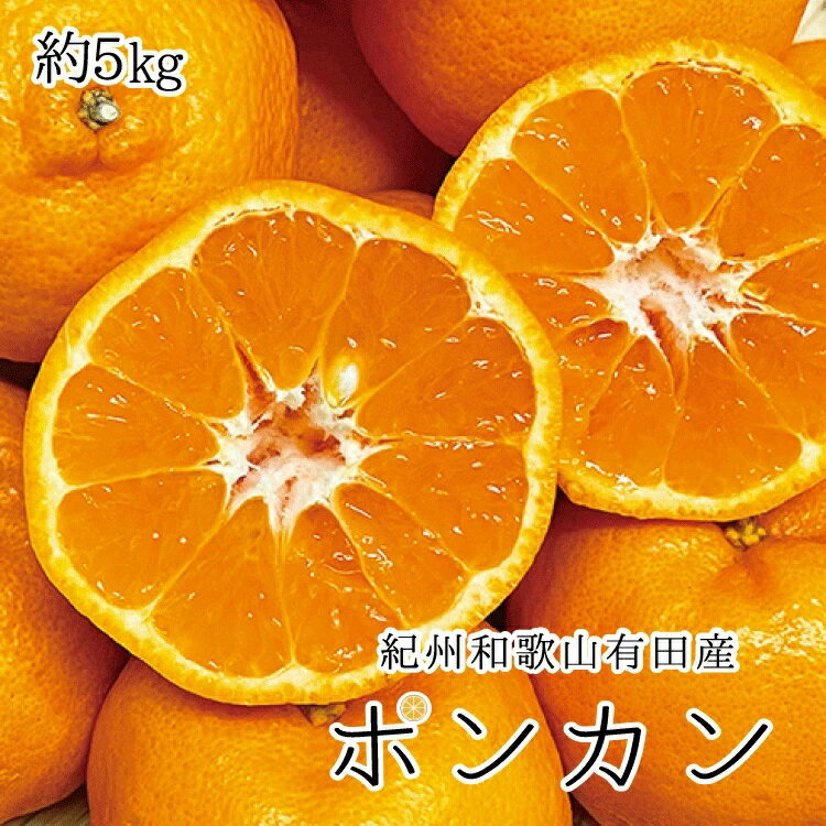 紀州和歌山有田産ポンカン 5kg ※2026年2月上旬頃～2026年2月下旬頃に順次発送（お届け日指定不可）/ ポンカン ぽんかん みかん くだものフルーツ 和歌山県 有田 ミカン 柑橘 有田みかん 果物