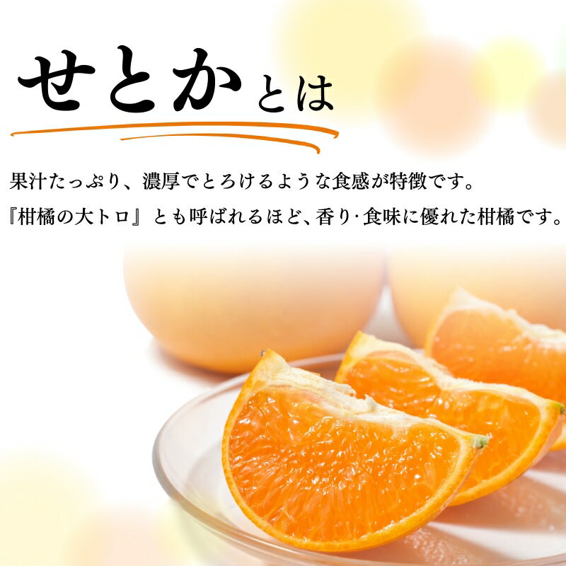 【ふるさと納税】とろける食感！ジューシー柑橘 せとか 約3kg ※2026年2月下旬頃〜2026年3月下旬頃発送(お届け日指定不可) / みかん 果物 フルーツ くだもの 柑橘 和歌山 ミカン 有田みかん サムネイル2
