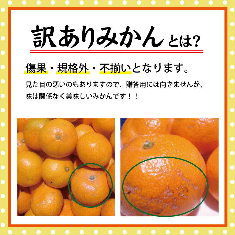 【ふるさと納税】有田みかん 農家直送 訳あり（お届け日指定不可）ご家庭用 自宅用 訳あり みかん 果物 くだもの フルーツ わけあり 10000円 12000円 15000円 農家直送 サイズ混合 有機質肥料100%《 額田農園限定レビューキャンペーン対象 》家庭用 和歌山県 有田みかん サムネイル2