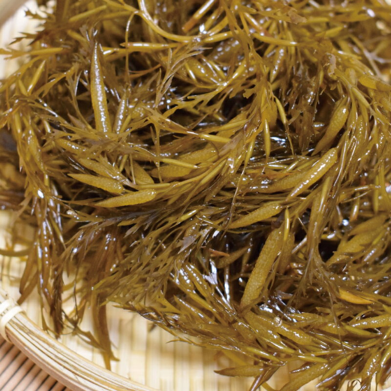【ふるさと納税】 紀州あかもく 由良町産 100g×7パック（2025年産） サムネイル2