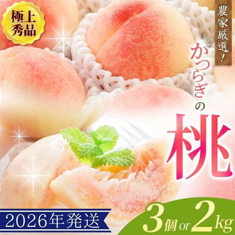 【先行予約】【厳選】あふれる果汁で口いっぱい！ 和歌山県産 桃 【3玉 or 約2kg（6個〜9個）】【2026年7月末頃～2026年8月末頃に順次発送予定】（お届け日指定不可） / 和歌山 桃 モモ フルーツ もも 白桃 果物 くだもの