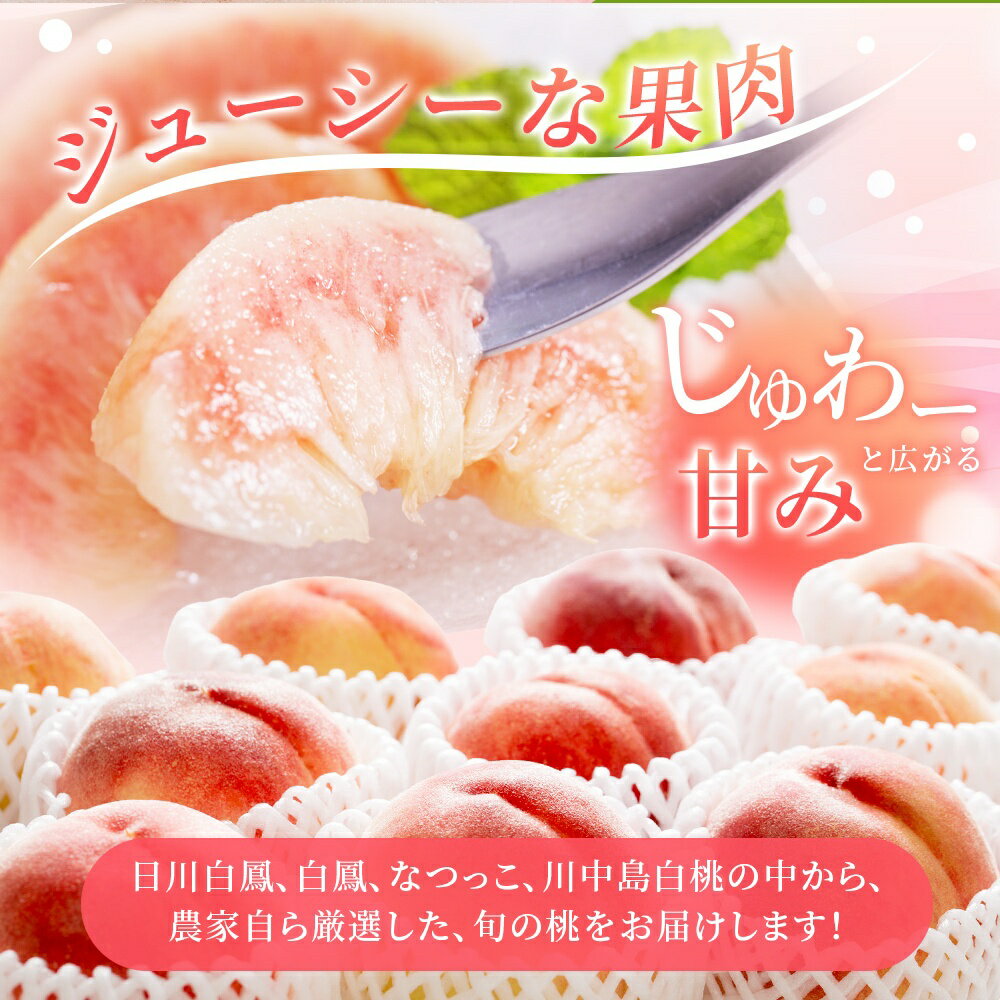 【ふるさと納税】 【先行予約】【厳選】あふれる果汁で口いっぱい！ 和歌山県産 桃 【3玉 or 約2kg（6個〜9個）】【2026年7月末頃～2026年8月末頃に順次発送予定】（お届け日指定不可） / 和歌山 桃 モモ フルーツ もも 白桃 果物 くだもの サムネイル2