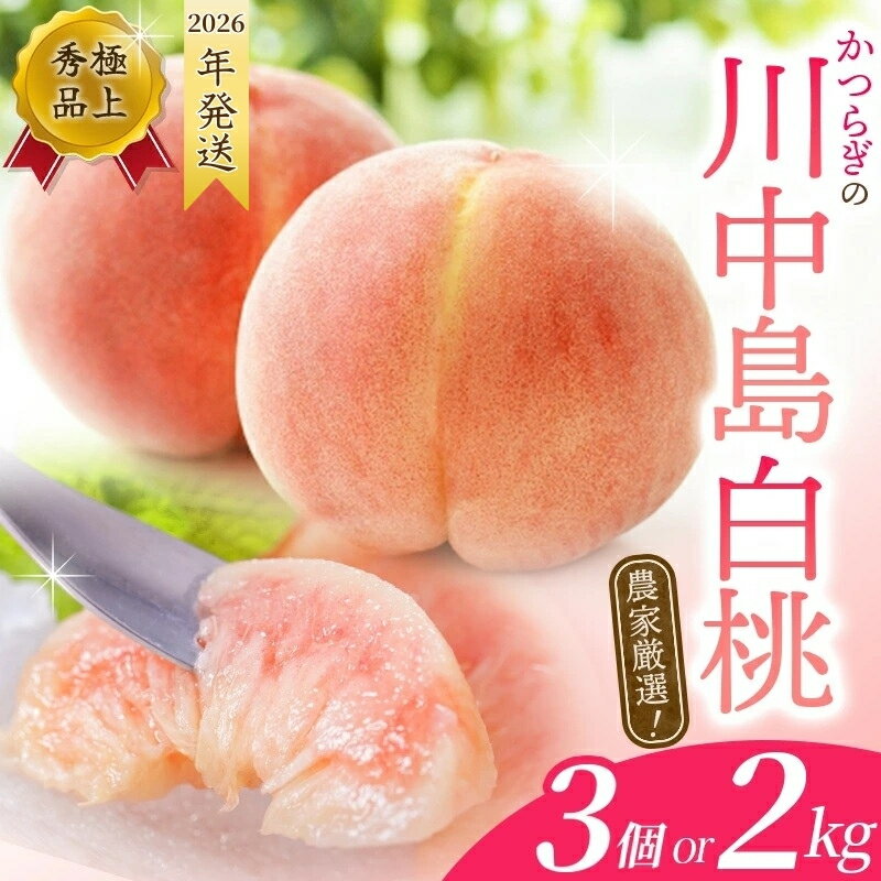 【先行予約】こだわり 農家厳選 川中島 白桃 和歌山産の 桃 ＼大玉特秀品／ 【3玉 or 約2kg（6個〜9個）】 【2026年7月末頃～2026年8月末頃に順次発送予定】（お届け日指定不可） / 和歌山 桃 モモ フルーツ もも 白桃 果物 くだもの