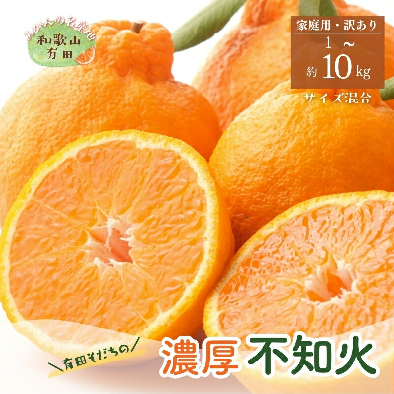 有田育ちの不知火(ご家庭用)(通称デコポン) 約1kg 約2.5kg 約5kg 約10kg ※2026年1月下旬〜3月下旬順次発送予定