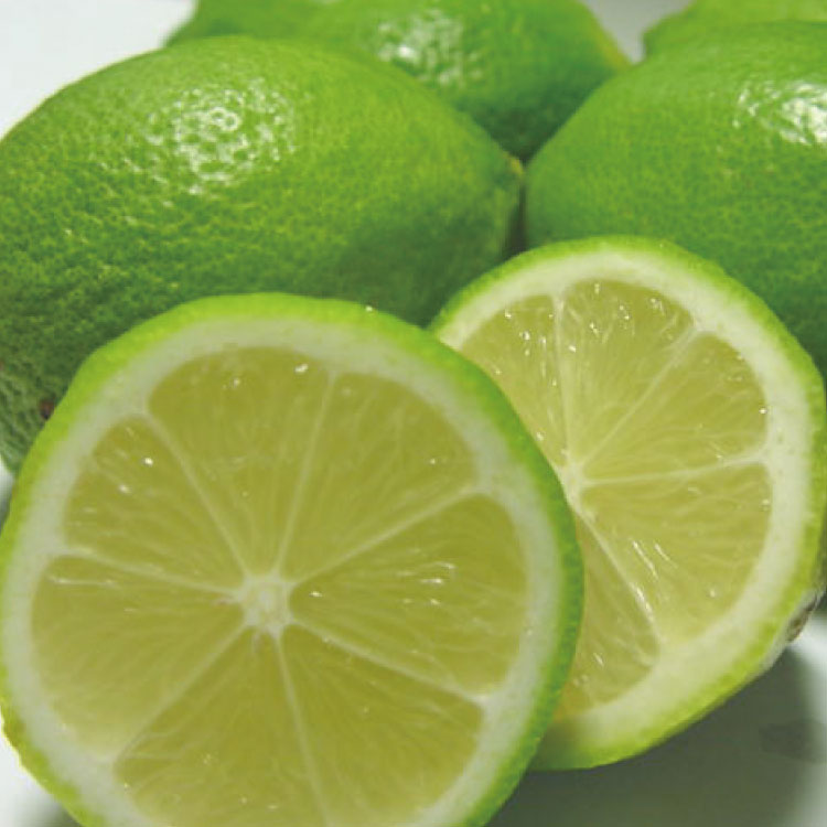 【ふるさと納税】 【国産】紀州和歌山 有田レモン 約2kg ※2025年9月下旬〜2026年1月下旬順次発送 サムネイル2