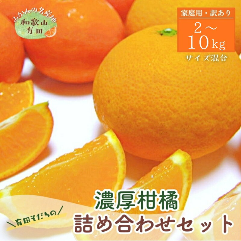【先行予約】有田育ちの柑橘詰め合わせセット(ご家庭用) 約2kg 約3kg 約5kg 約8kg 約10kg【2026年1月中旬〜5月下旬順次発送予定】