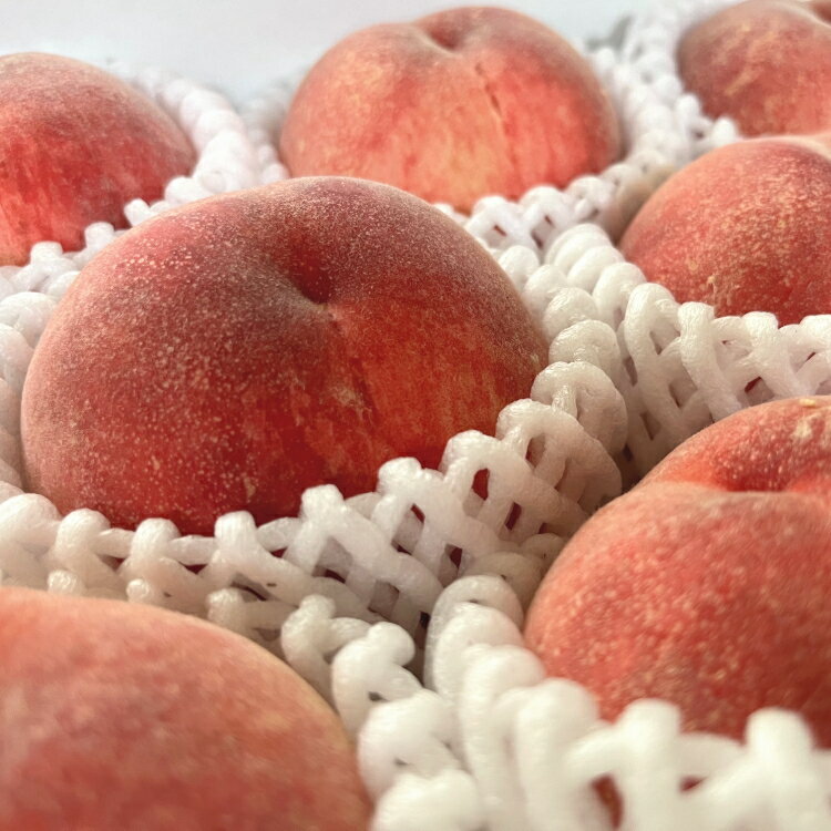 【ふるさと納税】 【先行予約】フルーツ王国 和歌山 の 桃 秀品 13～15玉入り(約4kg)　※2026年6月中旬～7月下旬頃順次発送（お届け日指定不可） ／ 和歌山 桃 モモ momo フルーツ もも 白桃 白鳳 清水白桃 なつっこ 川中島 ジューシー サムネイル2