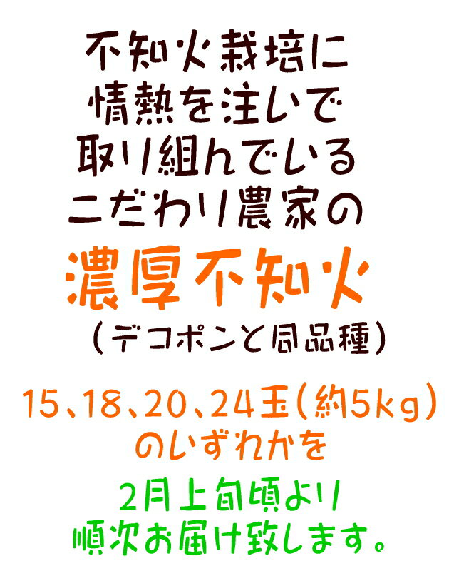 【ふるさと納税】 【先行予約】こだわり農家の濃厚不知火（デコポンと同品種） 約5kg (15〜24玉) ※2026年2月下旬〜3月下旬頃に順次発送予定 ※着日指定不可 サムネイル2