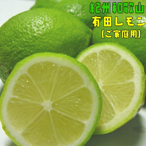 紀州和歌山 ご家庭用 有田レモン 約3kg【防腐剤・ワックス不使用】【農家直送】【訳あり】 ※着日指定不可 ※9月下旬〜1月下旬頃に順次発送