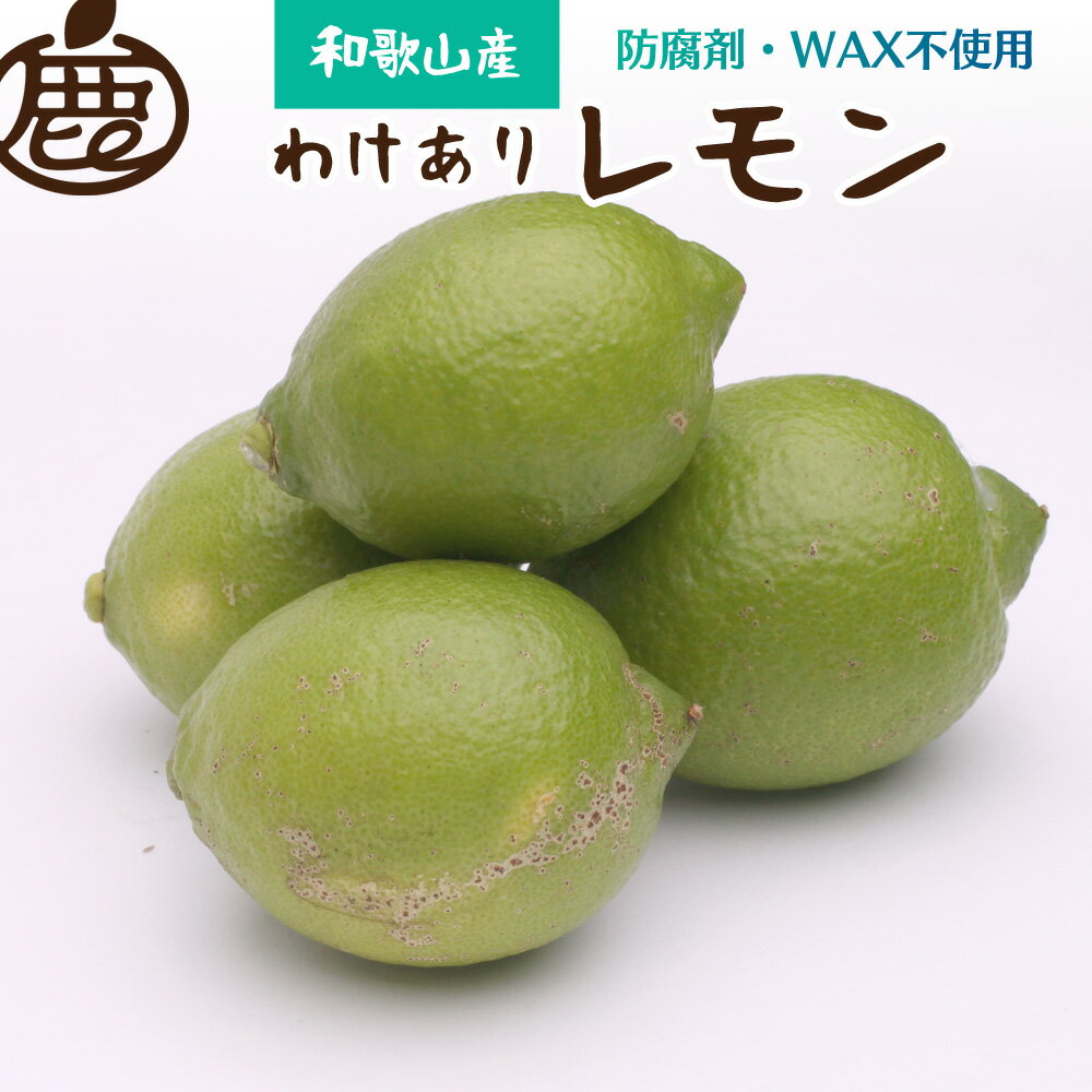 家庭用 黒潮レモン【選べる容量】1kg 2.5kg 5kg 7.5kg 10kg【和歌山有田産】【防腐剤・WAX不使用、安心の国産レモン】【わけあり・訳ありレモン】 ※北海道・沖縄・離島への配送不可＜2025年9月上旬頃〜2026年4月下旬頃に順次発送＞
