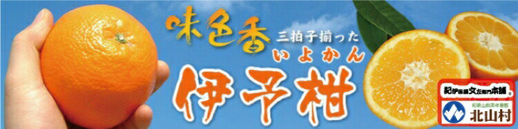 【ふるさと納税】 伊予柑(いよかん) 約5kg 約8kg / サイズおまかせ ※2026年1月中旬〜2026年2月中旬頃に順次発送予定(お届け日指定不可) 紀伊国屋文左衛門本舗 サムネイル3