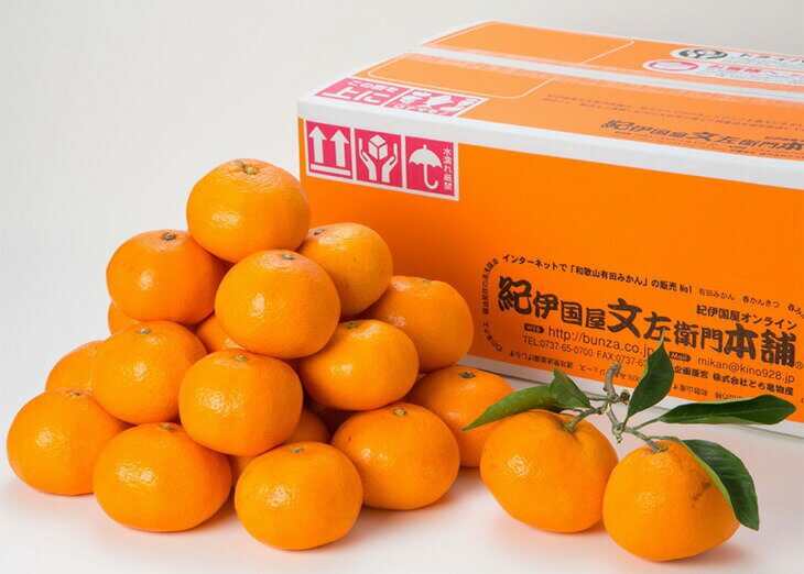 【ふるさと納税】 ブランド有田みかん 秀品5キロ サイズお任せ/紀伊国屋文左衛門本舗 ※2025年10月中旬〜2026年1月中旬頃に順次発送予定（お届け日指定不可）※品種おまかせ。極早生、早生、中生、晩生みかんのいずれかをお届け【予約受付】 サムネイル2