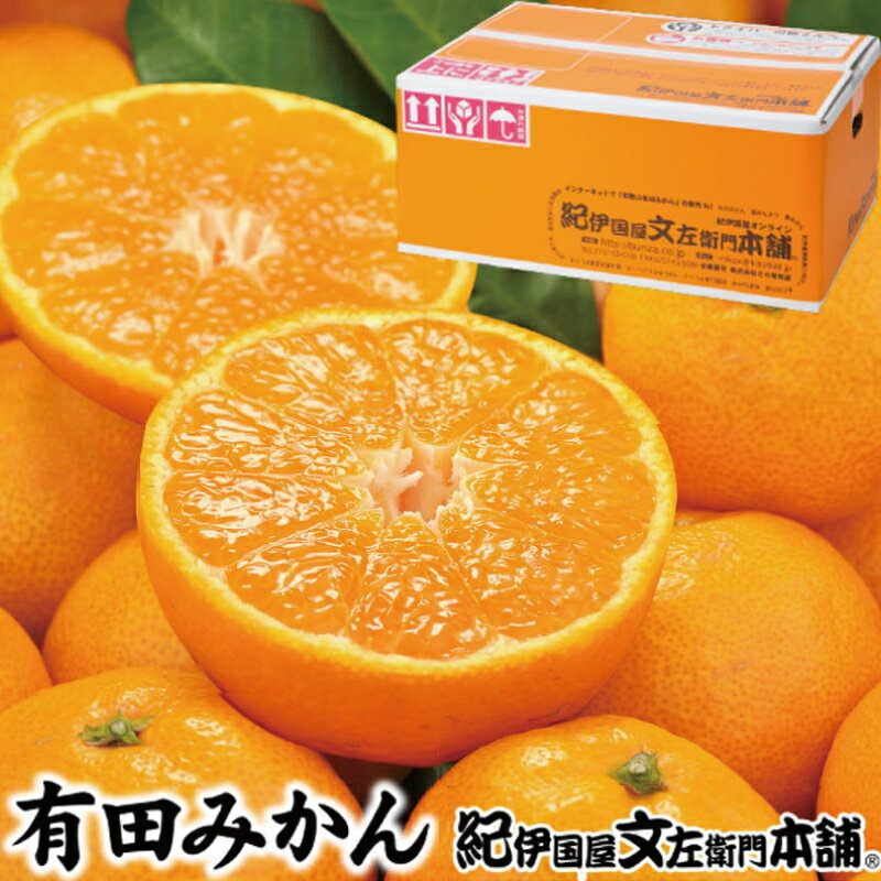 ブランド有田みかん【S】秀品10kg／産地直送／薄皮で甘い美味しい和歌山県産／紀伊国屋文左衛門本舗 ※2025年11月上旬〜2026年1月中旬頃に順次発送（お届け日指定不可）