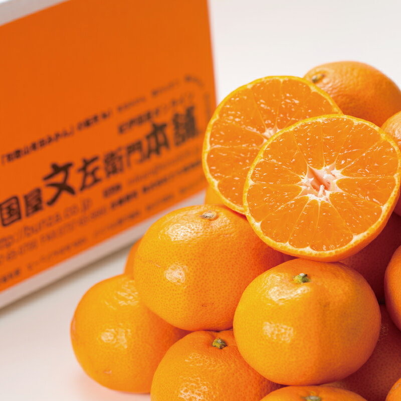 【ふるさと納税】 ブランド有田みかん【S】秀品10kg／産地直送／薄皮で甘い美味しい和歌山県産／紀伊国屋文左衛門本舗 ※2025年11月上旬〜2026年1月中旬頃に順次発送（お届け日指定不可） サムネイル2