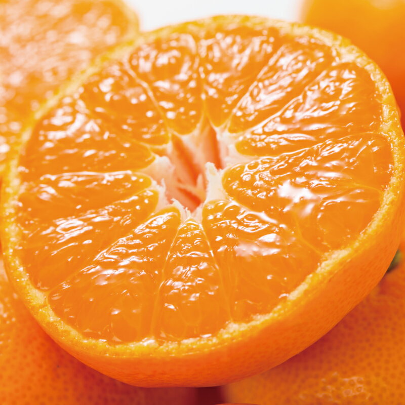 【ふるさと納税】 ブランド有田みかん【S】秀品10kg／産地直送／薄皮で甘い美味しい和歌山県産／紀伊国屋文左衛門本舗 ※2025年11月上旬〜2026年1月中旬頃に順次発送（お届け日指定不可） サムネイル3