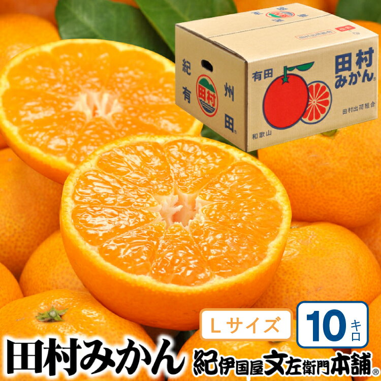 【予約受付】田村みかん 特選ギフト品 10kg【Lサイズ】赤秀/紀州和歌山有田郡湯浅町田村地区産 ◆2025年11月下旬〜2026年1月中旬頃に順次発送(お届け日指定不可) 紀伊国屋文左衛門本舗