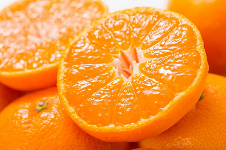 【ふるさと納税】 【予約受付】田村みかん 特選ギフト品10kg【Sサイズ】赤秀/紀州和歌山有田郡湯浅町田村地区産 ◆2025年11月下旬〜2026年1月中旬頃に順次発送(お届け日指定不可) 紀伊国屋文左衛門本舗 サムネイル2