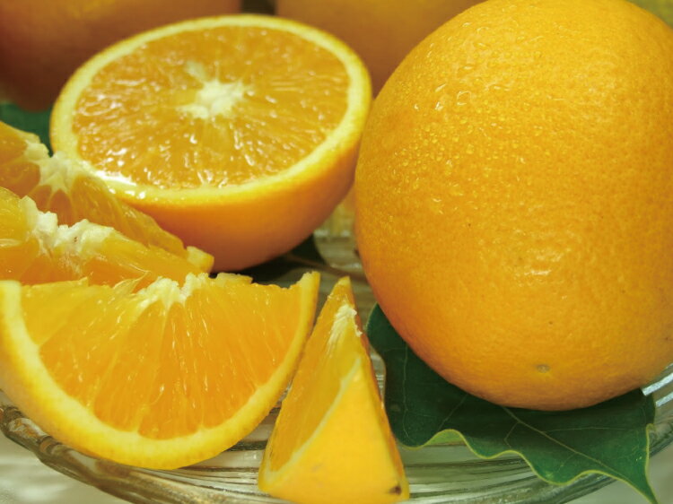 バレンシアオレンジ[約5kg]湯浅町田村産春みかん春かんきつ(無選別・果実サイズ混合) 紀伊国屋文左衛門本舗 2025年6月中旬〜2025年7月下旬頃に順次発送予定(お届け日指定不可)