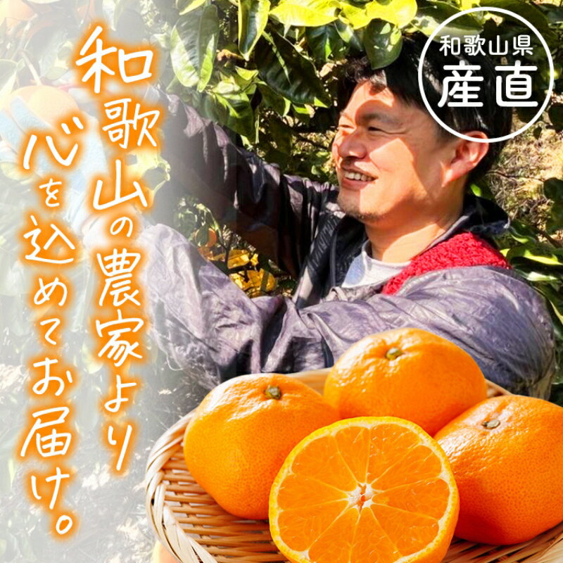 【ふるさと納税】【旬のくだもの定期便】 わかやま 旬の くだもの 定期便 サイズが選べる 全3回 / フルーツ まりひめ いちご 小玉 すいか ※北海道・沖縄・離島への配送不可（配送日時指定不可）/ 定期便 フルーツ みかん いちご イチゴ すいか サムネイル2