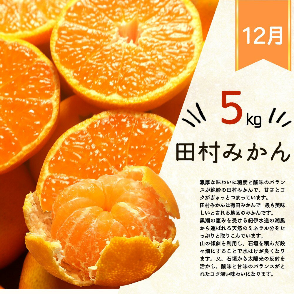 【ふるさと納税】 【全3回】紀州和歌山産旬のフルーツ定期便 (田村みかん・はるみ・不知火) / フルーツ 果物 はるみ 不知火 みかん 有田みかん 桃 旬 定期便 サムネイル2