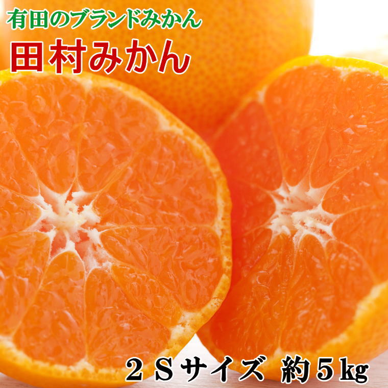 【ブランドみかん】田村みかん約5kg（2Sサイズ・秀品）※2025年11月下旬〜2025年12月下旬頃順次発送予定（お届け日指定不可）