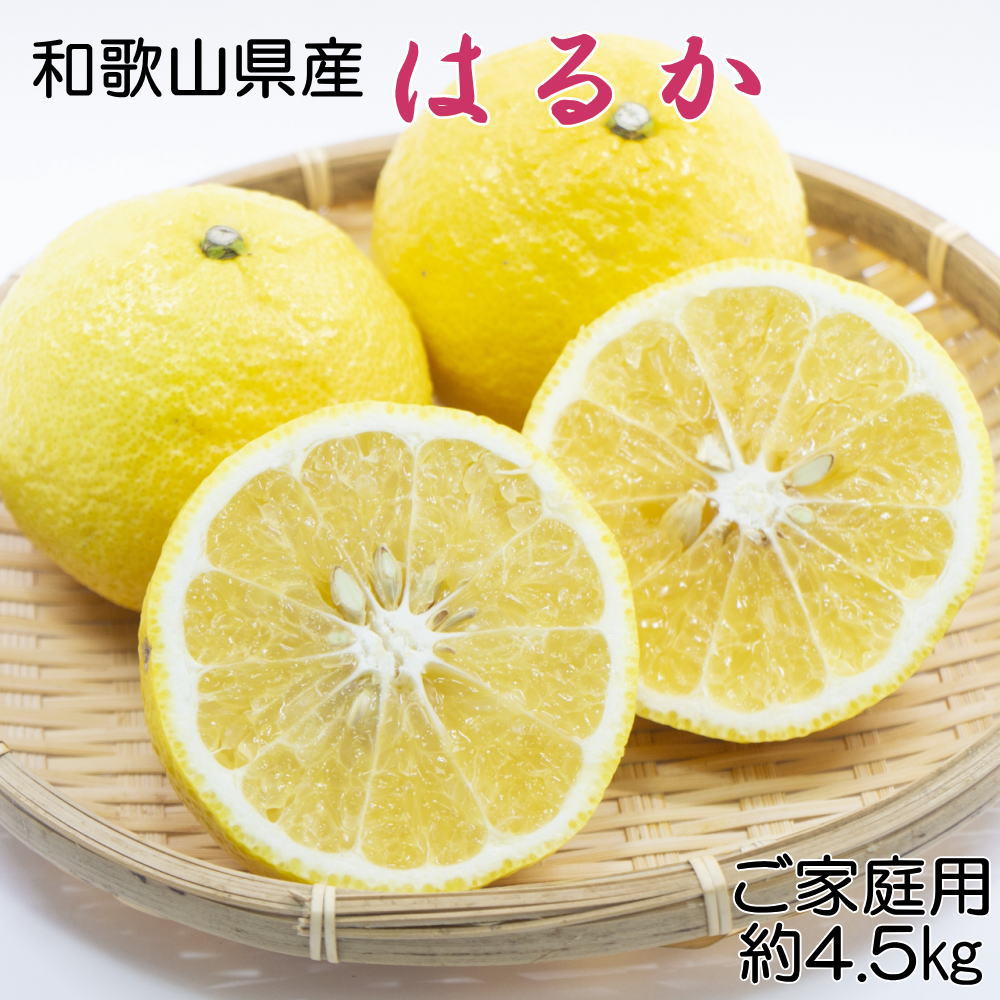 【さわやか柑橘】和歌山県産はるかみかん約4.5kg（サイズ混合 ご家庭用） ※2026年2月下旬〜2026年3月下旬頃順次発送