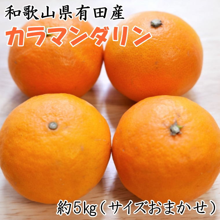 【春みかん】和歌山有田産カラマンダリン約5kg(サイズおまかせ)※2026年4月上旬〜2026年5月中旬頃に順次発送（お届け日指定不可）