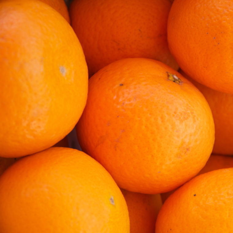 【ふるさと納税】 和歌山県産清見オレンジ約5kg（サイズ混合）※2026年3月中旬～2026年4月上旬頃に順次発送【tecj1035】 サムネイル2