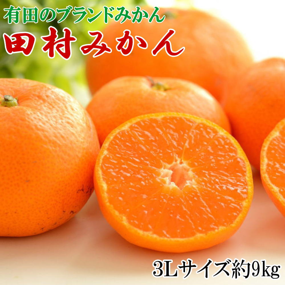 【ブランドみかん】田村みかん大玉約9kg(3Lサイズ) ※2025年11下旬～2025年12月下旬頃に順次発送 / みかん オレンジ 和歌山 柑橘 フルーツ 果物【tecj1036】