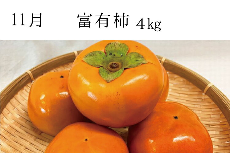 【ふるさと納税】 【全3回定期便】秋の味覚 果物定期便 柿・みかん 旬のフルーツを毎月お届け♪ サムネイル3