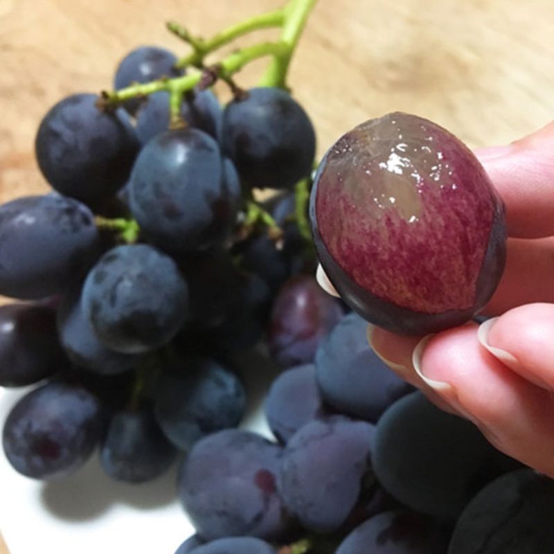 【ふるさと納税】 紀州有田産 ブラックオリンピア(ハチミツぶどう) 約2kg ※2026年8月中旬頃～2026年9月上旬頃に順次発送予定 / ぶどう ブドウ 葡萄 フルーツ 果物 くだもの サムネイル2