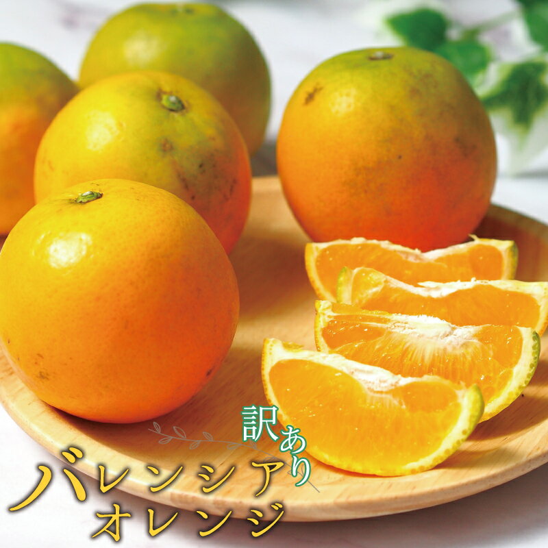 【国産 訳あり】希少 バレンシアオレンジ 7kg【ご家庭用】 ※2026年6月下旬頃～7月上旬頃順次発送予定(お届け指定日不可)