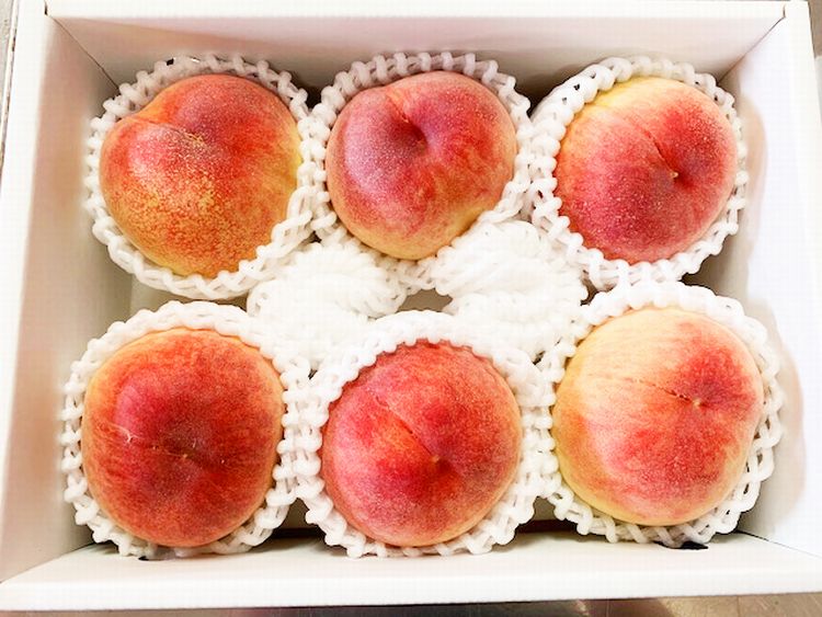 【ふるさと納税】 紀州和歌山産の桃 約1.8kg 化粧箱入 ※2026年6月下旬頃〜2026年8月上旬頃順次発送（お届け日指定不可） サムネイル3