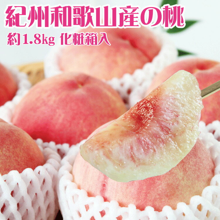 紀州和歌山産の桃 約1.8kg 化粧箱入 ※2026年6月下旬頃〜2026年8月上旬頃順次発送（お届け日指定不可）