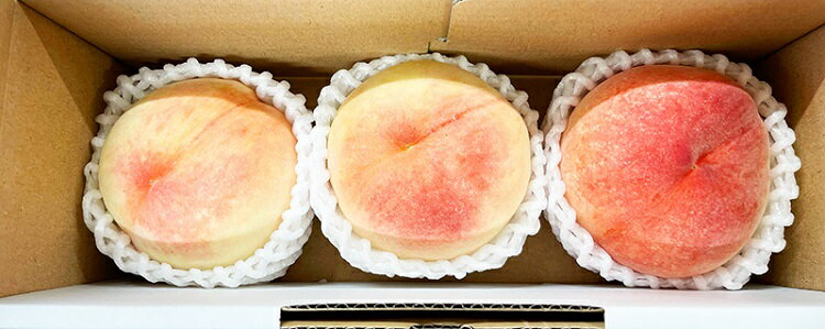 【ふるさと納税】 秀品 紀州和歌山産の桃 3玉 化粧箱入 ※2026年6月下旬頃〜2026年8月上旬頃順次発送（お届け日指定不可） サムネイル3