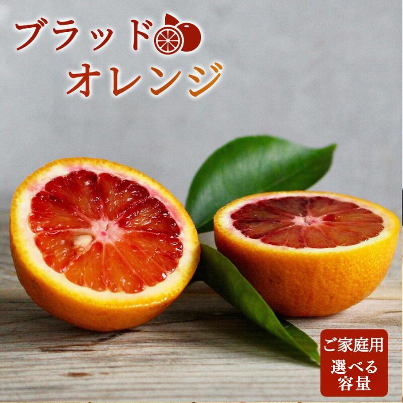 希少な柑橘!紀州有田産ブラッドオレンジ選べる容量 約3kg ・約5kg【ご家庭用】※2026年3月上旬頃〜3月中旬頃に順次発送 (お届け日指定不可)