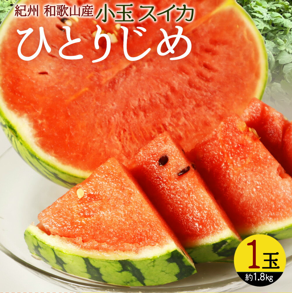 紀州和歌山産 小玉スイカ 「ひとりじめ」1玉【予約】※2026年6月上旬頃～7月上旬頃に順次発送予定(お届け日指定不可) スイカ すいか 果物