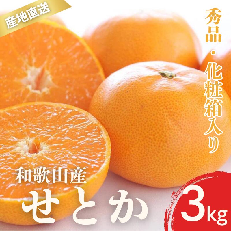 【先行予約】秀品 せとか 和歌山 有田 化粧箱 M〜2Lサイズ 大きさお任せ 3kg【2月中旬〜3月下旬頃に順次発送】/ みかん フルーツ 果物 くだもの 蜜柑 柑橘