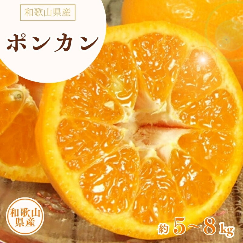 ポンカン 約5kg 約8kg /サイズおまかせ ※2026年1月下旬〜2026年2月下旬頃に順次発送予定(お届け日指定不可) 紀伊国屋文左衛門本舗