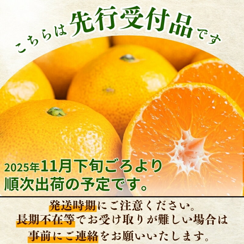 【ふるさと納税】 みかん こだわりの 有田みかん 約2kg〜10kg ＋250g(傷み補償分) 容量 配送時期 光センサー選別 家庭用 ご家庭用 みかん ミカン 果物 フルーツ 農家直送 有機質肥料100% 【11月 ・12月 発送】日付指定不可 サムネイル2