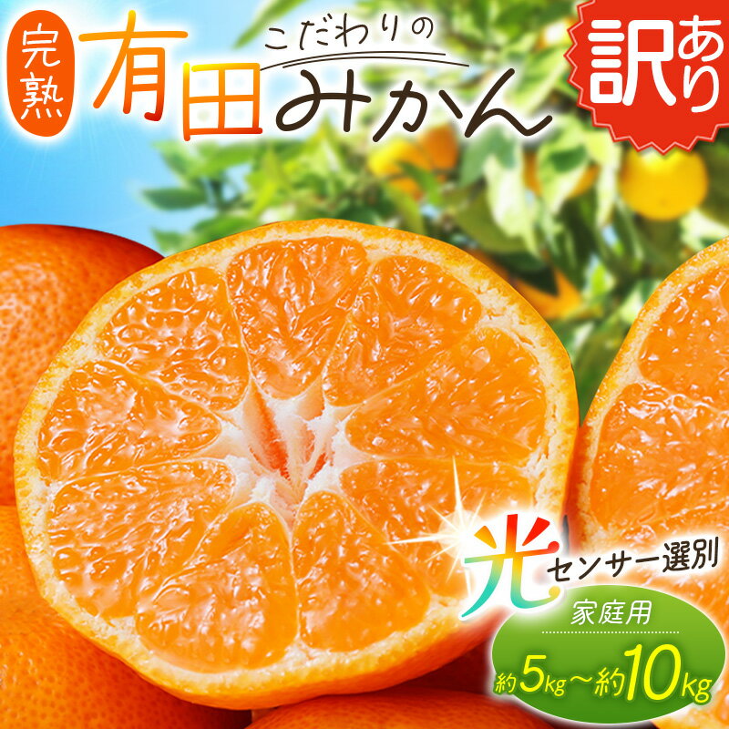 訳あり 有田みかん 5kg 7.5kg 10kg 選べる容量 数量限定 家庭用 ご家庭用 訳アリ みかん ミカン 温州みかん 柑橘 果物 くだもの フルーツ サイズ混合 人気 7000円 10000円 14000円 ※2026年11月中旬～順次発送予定