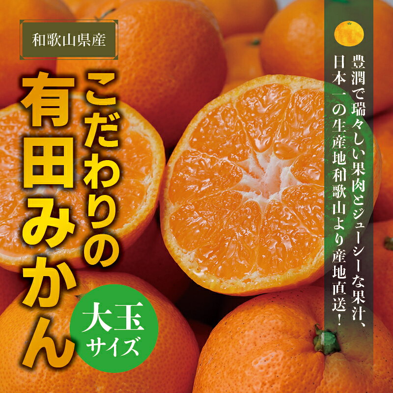 ＼光センサー選別／＼農家直送／有田みかん 大玉3L以上 約7.5〜10kg 有機質肥料100%【※2025年11月中旬頃～12月下旬頃に順次発送(お届け日指定不可)】