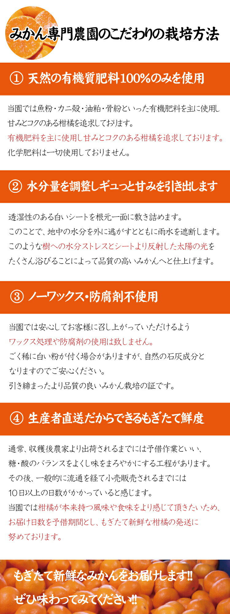 【ふるさと納税】 《 額田農園限定レビューキャンペーン対象 》＼光センサー選別／農家直送 こだわりの極早生みかん 約5kg〜10kg 数量限定 有機質肥料100% サイズ混合 ※2025年10月上旬〜11月上旬頃に順次発送予定（お届け日指定不可） 有田産 有田 みかん サムネイル3