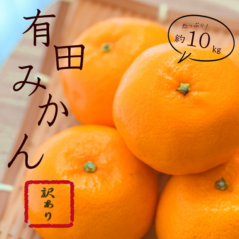 紀州有田みかん 訳あり　キズ　御家庭用　サイズ混合 みかん ミカン 柑橘 有田みかん 和歌山